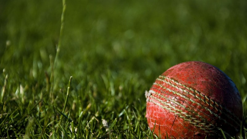 世界杯预选赛亚洲区焦点战直播 - 中国队主场迎战韩国队